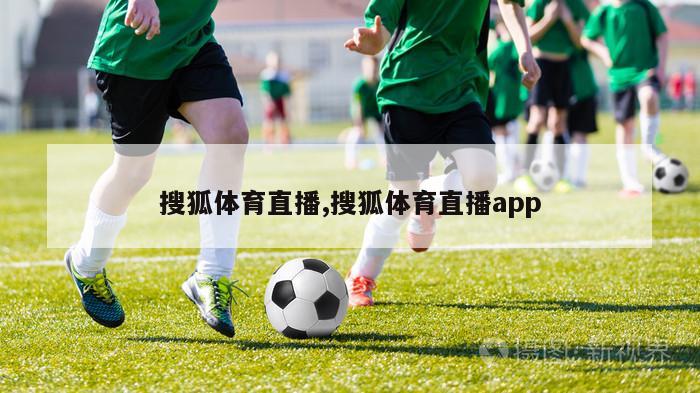 搜狐体育直播,搜狐体育直播app